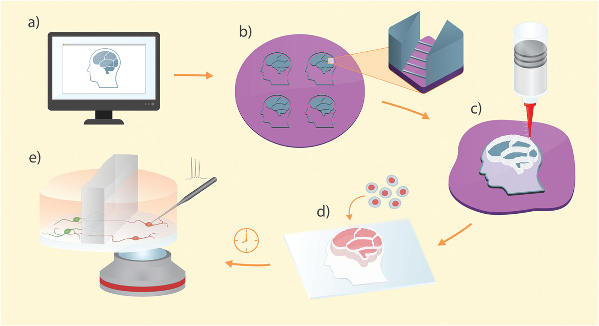 3D‐Printed Soft Lithography for Complex Compartmentalized Microfluidic Neural Devices