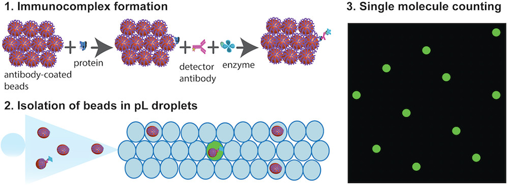 Single Molecule Protein Detection with Attomolar Sensitivity Using Droplet Digital Enzyme-Linked Immunosorbent Assay