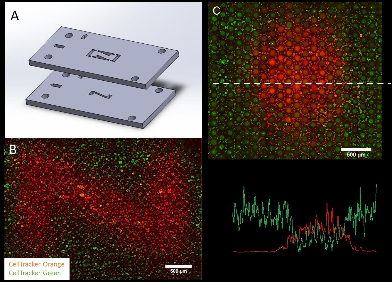 Facile Production of Large‐Area Cell Arrays Using Surface‐Assembled Microdroplets